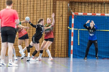 Bild 126 - wBJ HSG Kremperheide/Muensterdorf - HSG Joerl-Doppeleiche Vioel : Ergebnis: 34:23